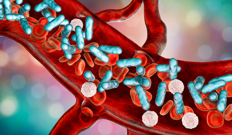 Sepsis-bacteria-in blood-3D- illustration-shut